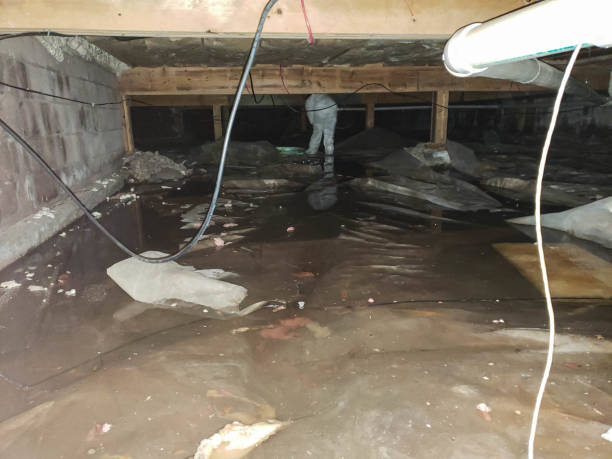 Best Storm and Flood Water Damage Restoration in Wescosville, PA